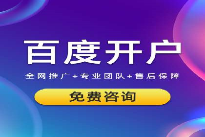 SEM推广策略：实战案例解析